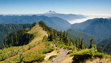 Hurricane Ridge Trail